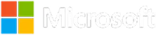 Microsoft Partner Logo
